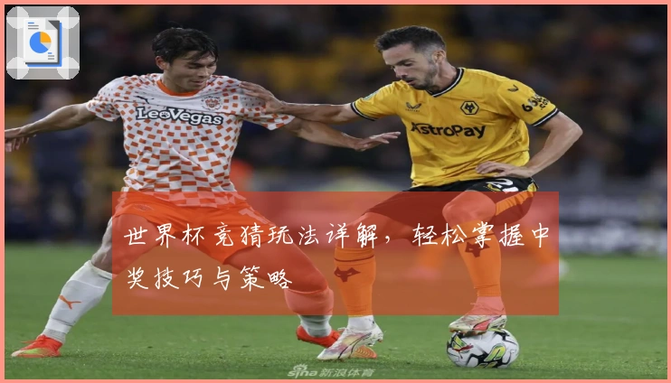 世界杯竞猜玩法详解，轻松掌握中奖技巧与策略