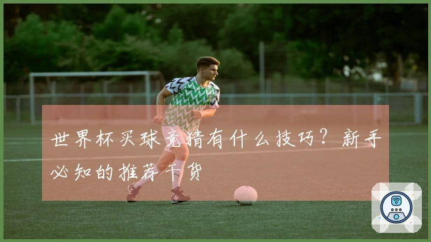 世界杯买球竞猜有什么技巧？新手必知的推荐干货