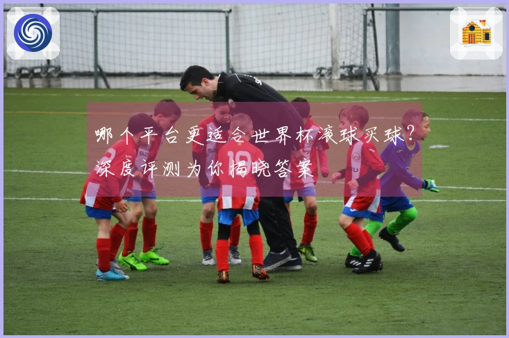 哪个平台更适合世界杯滚球买球？深度评测为你揭晓答案