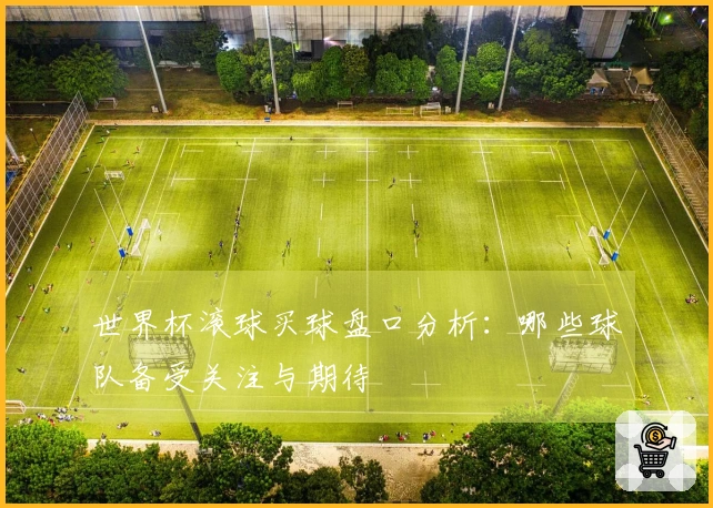 世界杯滚球买球盘口分析：哪些球队备受关注与期待