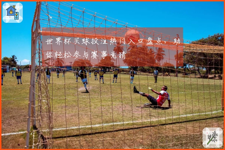 世界杯买球投注热门入口盘点，助你轻松参与赛事竞猜