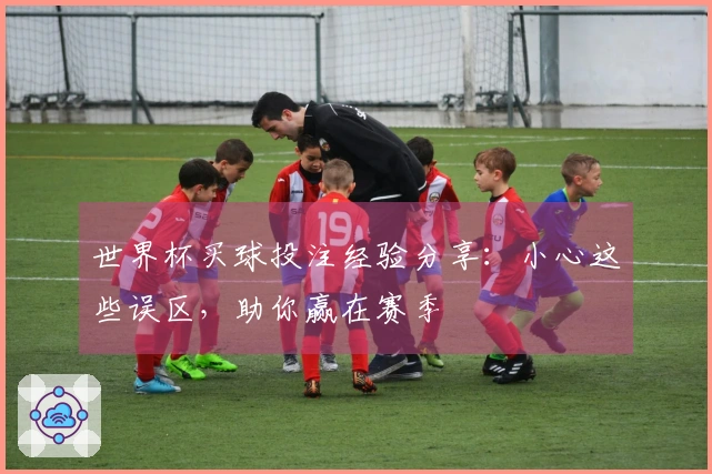世界杯买球投注经验分享：小心这些误区，助你赢在赛季